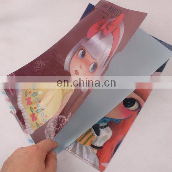 file folder Type and PP Material file folder