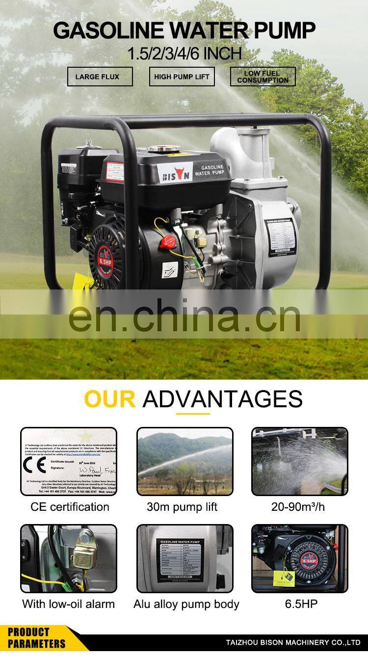 BISON WP30 3inch Pump Gasoline Water Pump Petrol Pump Machine