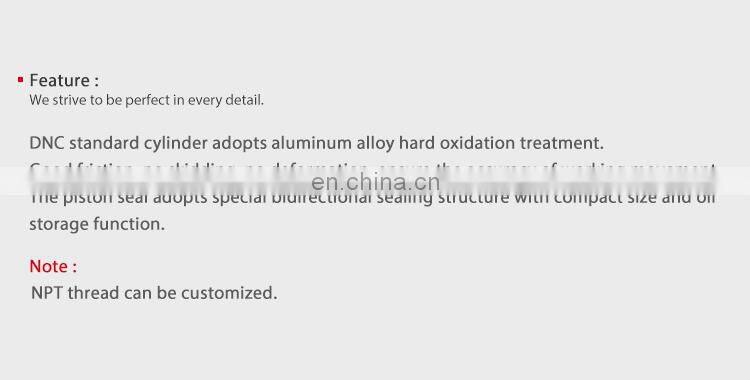 SNS DNC Series Double Acting Standard Aluminum Alloy Pneumatic Air Cylinders