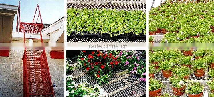 alibaba china PVC& powder coated expanded metal mesh