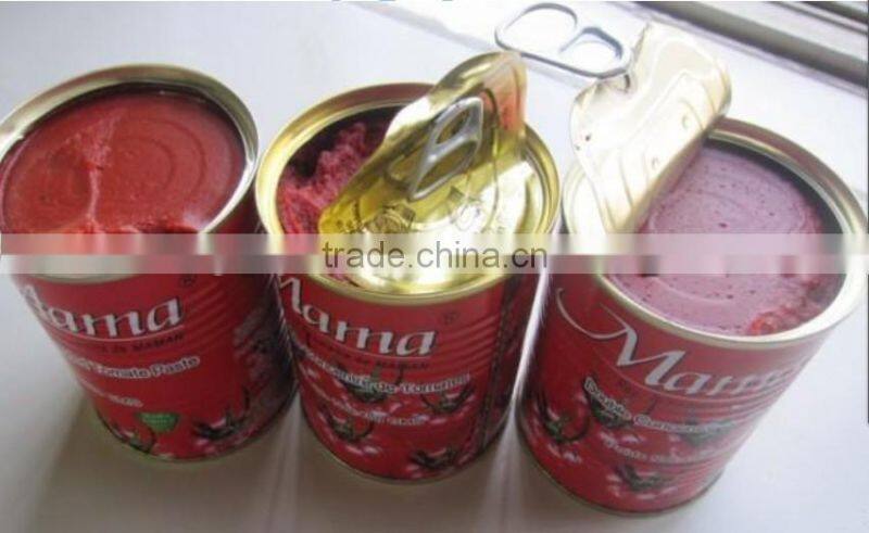 Excellent toturnkey solution tomato paste production line