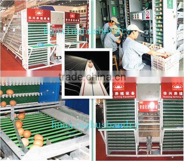 chicken layer cage for sale with chicken cage in China/chicken cage