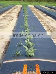 black mulch film for agriculture
