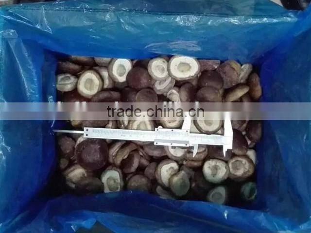 market prices for mushroom