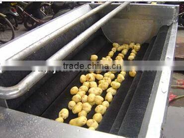 hot sale brush potato cleaning machine