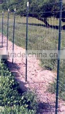 Galvanized security fencings with T post(supplier)