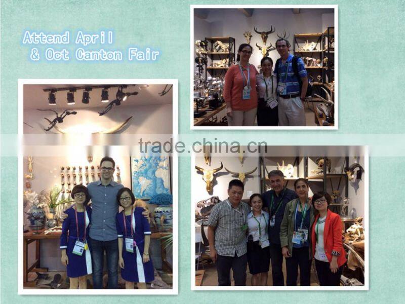 Curly Horn goat bust Skull wall hanging