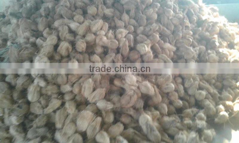 Tamil Nadu Organic Young Fresh Cocount