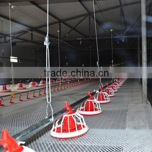 Poultry Automatic Feeding System for Broiler