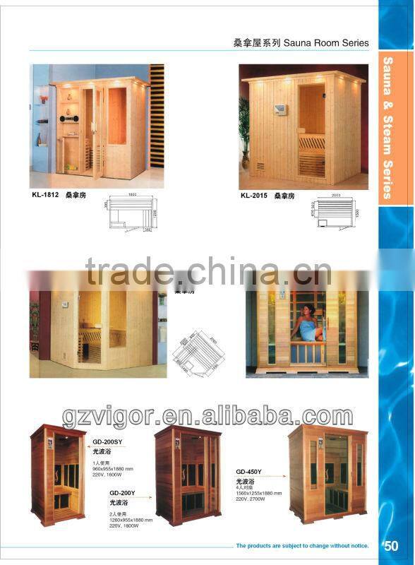 Dry Steam shower and sauna room