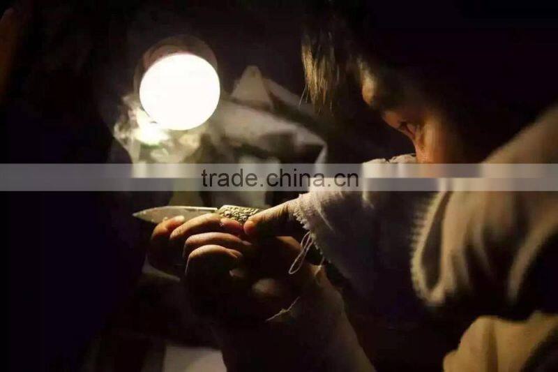 Doshower cutting knife with knife guard of knife sharpener