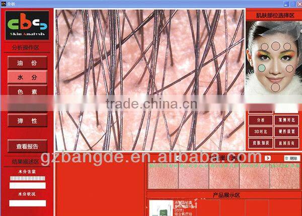 High Resolution Analysis Beauty Equipment for Skin and Hair beauty machine BD-P019