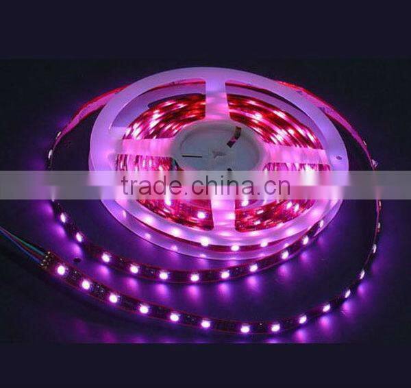 LED Flexible Strip Light Dream Color from China Manufacturer