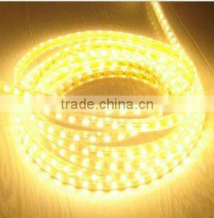 2012 SMD 5050 LED strip light 220v