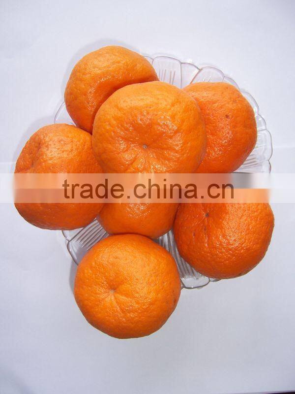 Fresh Mandarin Orange with Factory Wholesales Price