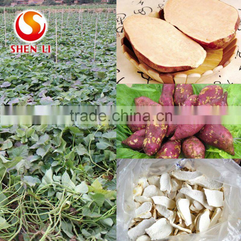 Natural Dry Sweet Potatos Healthy Berry