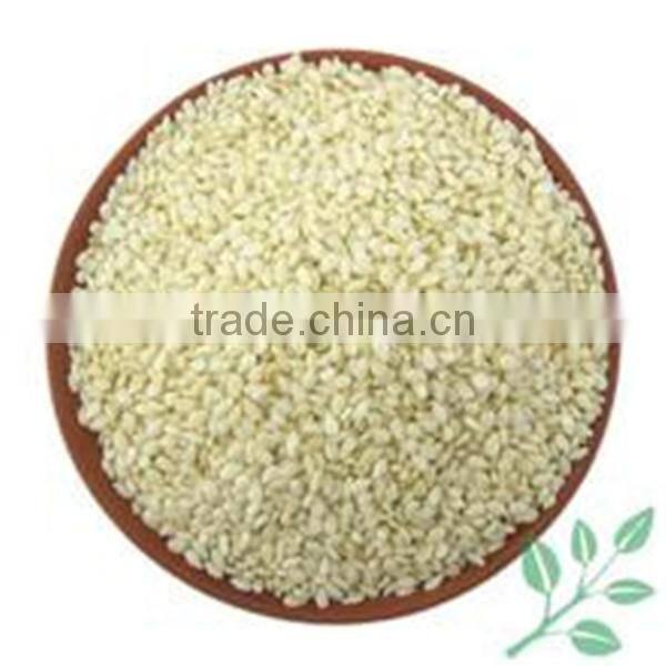 low price hydraulic oil press/walnout oil press machine