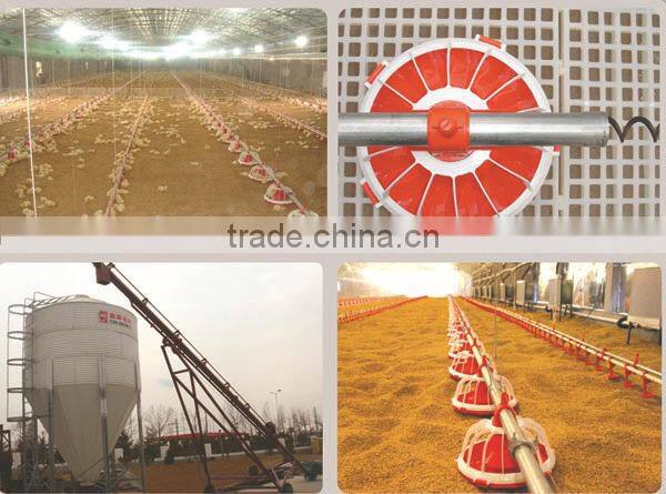 plastic chicken feeders