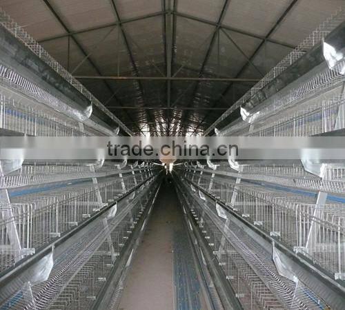 chicken cage batterie