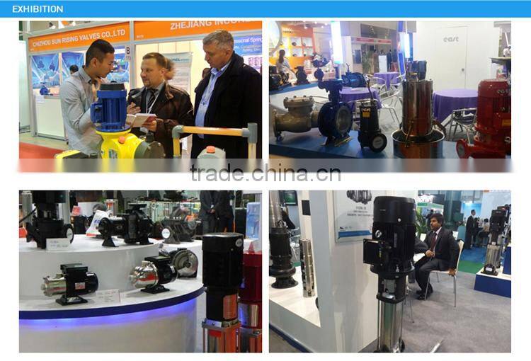 Jenson mass flow agricultural Oil-immersed submersible water pump