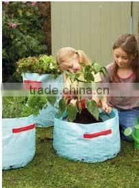 animals decoration painting with frame and garden item bag leef bag waste pop up bag