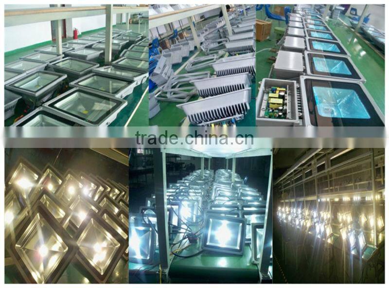 indoor outdoor lighting led flood light with meanwell driver