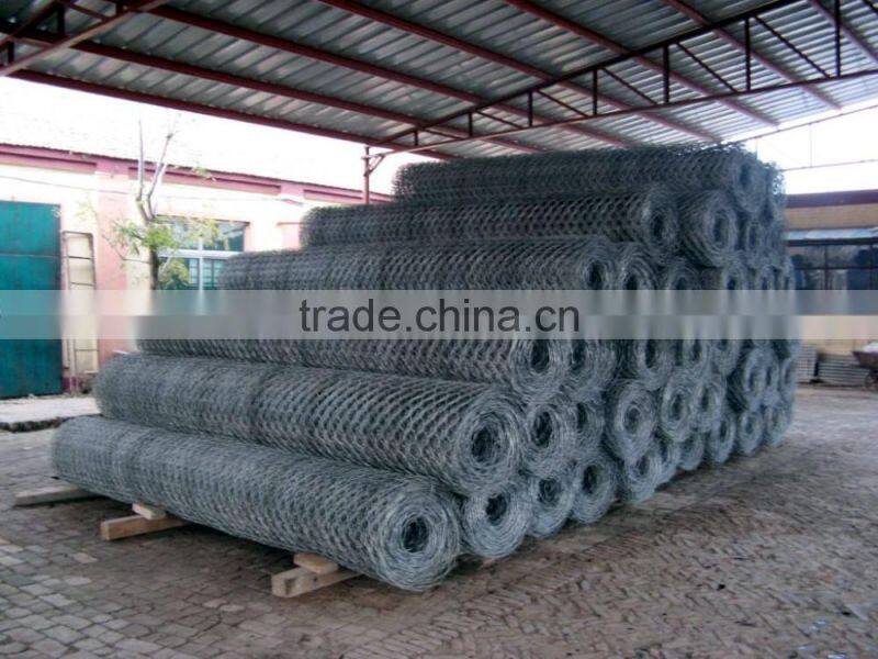 Hot Sale Hexagonal Wire Netting