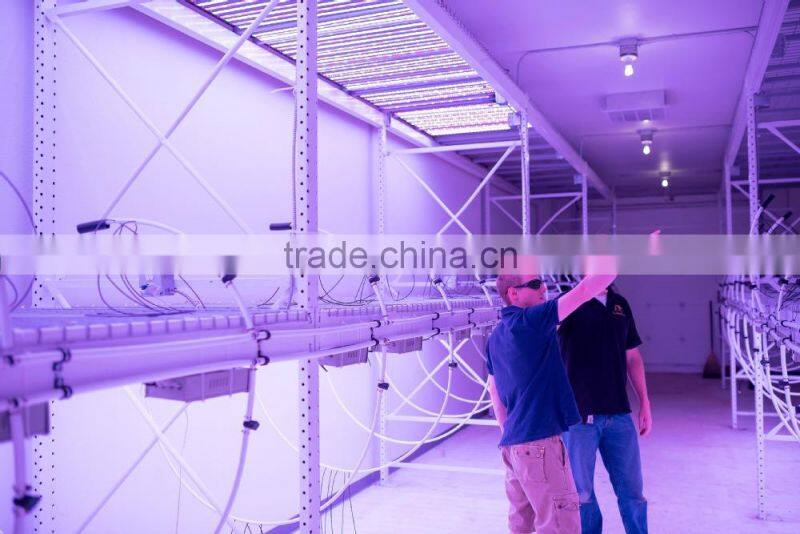 High Power IR LED ,42mil Epileds Chip,Powerful IR LEDs 200W/300W