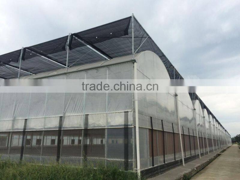 Hot sale multi span farm machinery greenhouse