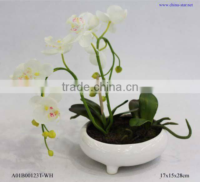 artificial bonsai orchids