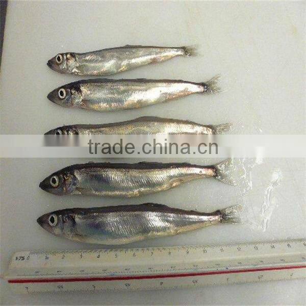 fresh best frozen fish