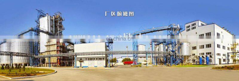 2017 new design crude palm oil process /refinery plant equipment