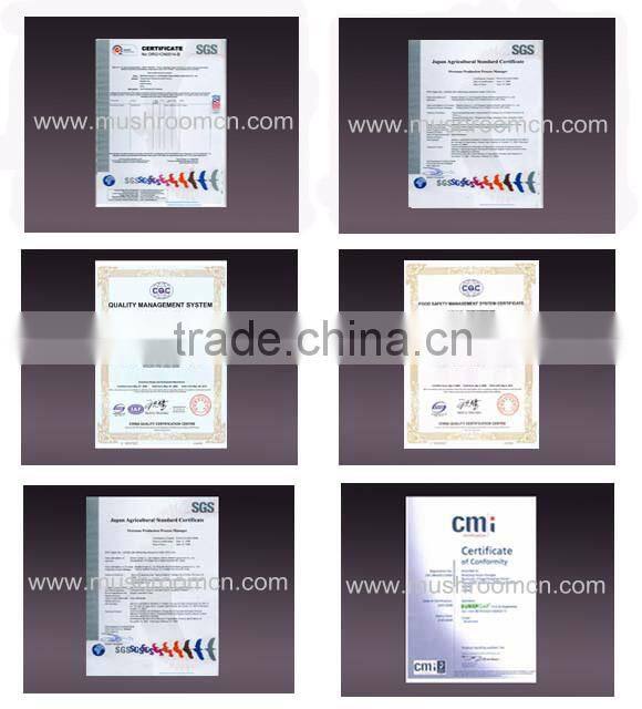 Good quality Dried Lion's Mane mushroom