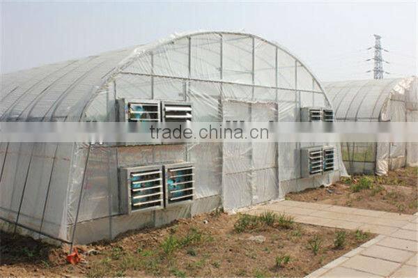 plastic greenhouse price