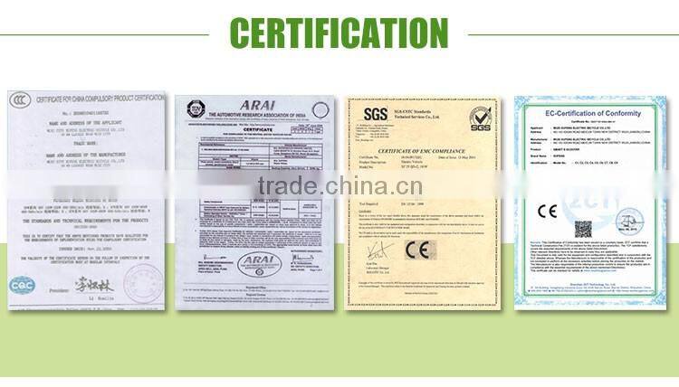 36V Adult Electric Bike For Sale