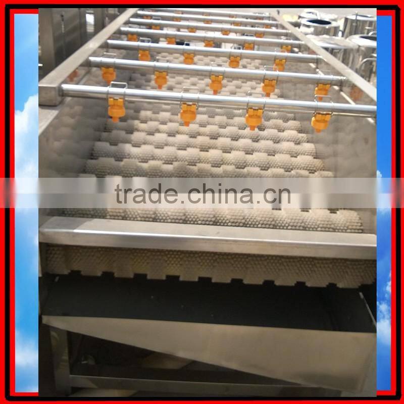 Automatic Brush Date Cleaning Machine|Ginger Washer and Cleaner Machine