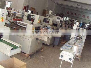Packaging Machine. Pillow Packaging Machine