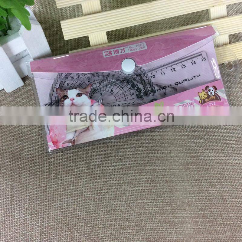 High Qulity Factory Direct Sale Plastic Student ruler set