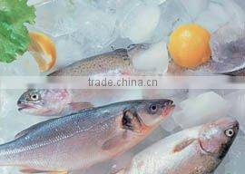 Industrial Flake Ice Machine for Seafood Keeping