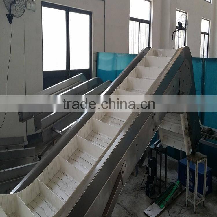 plastic incline belt conveyors for different industries