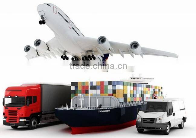 High Quality Factory Price Zinc Plated Black Oxide Spring Washer