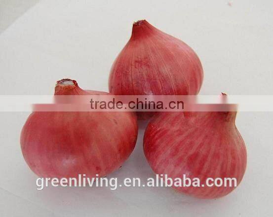 Fresh Onion Yellow Color