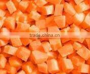 IQF Peeled broad beans