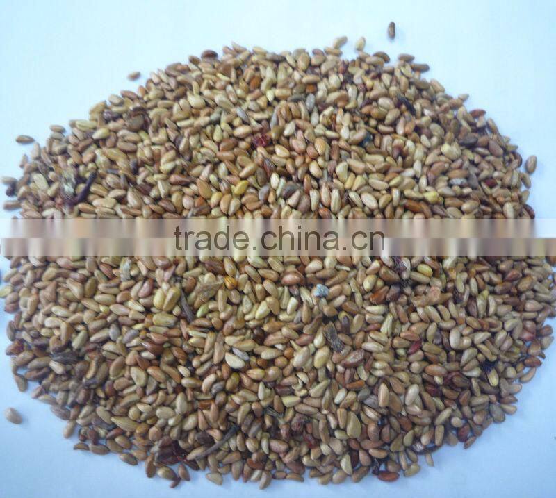 Latest crop dried rosehip fine teabag cut