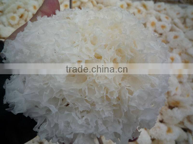 Dried white fungus/tremella/white fungus/silver ear