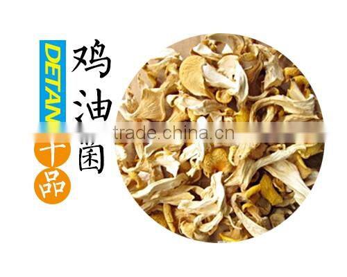 dried mushroom cantharellus cibarius