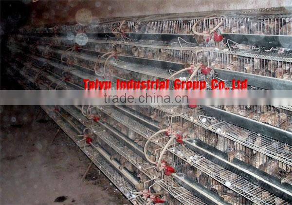 Quail Cage Equipment with all the accessary