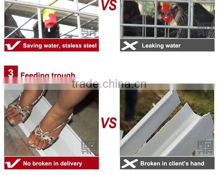 20 years lifespan A type of poultry egg chicken layer cage price