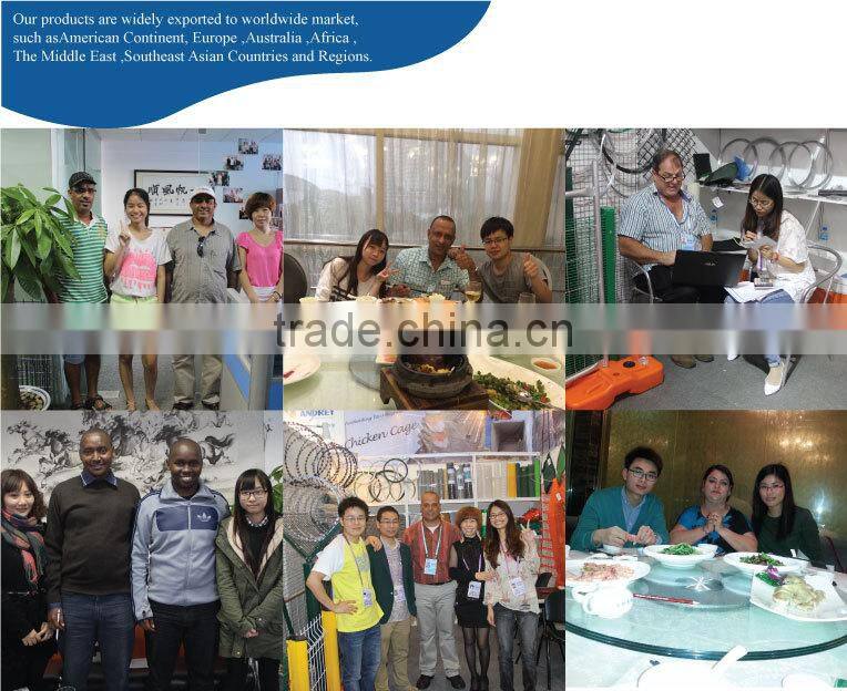 Welded Mesh 10-90 Mesh 304/316 Material Stainless Steel Wire Mesh for Window Screen(Guangzhou Factory)