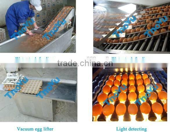 Big capacity Stainless steel Egg Processing Machines made in China